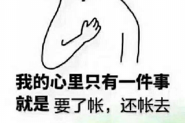 庆阳企业清欠服务